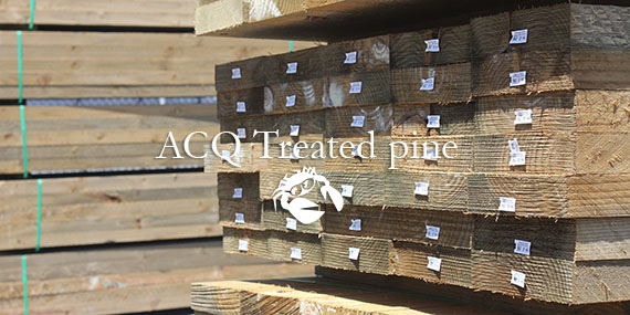 ACQ Treated pine