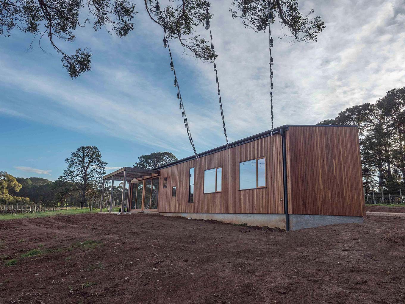 silvertop ash timber cladding