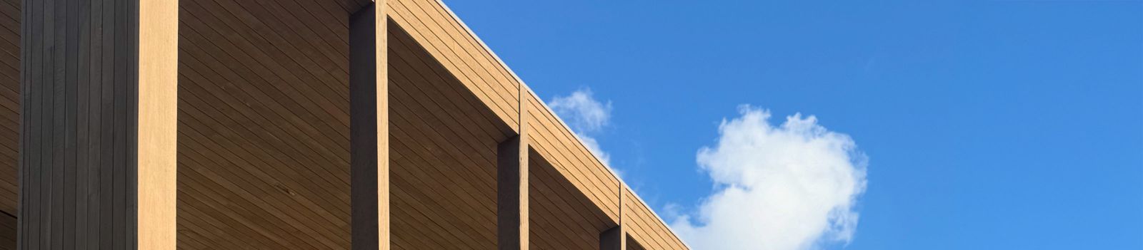 Blackbutt Timber