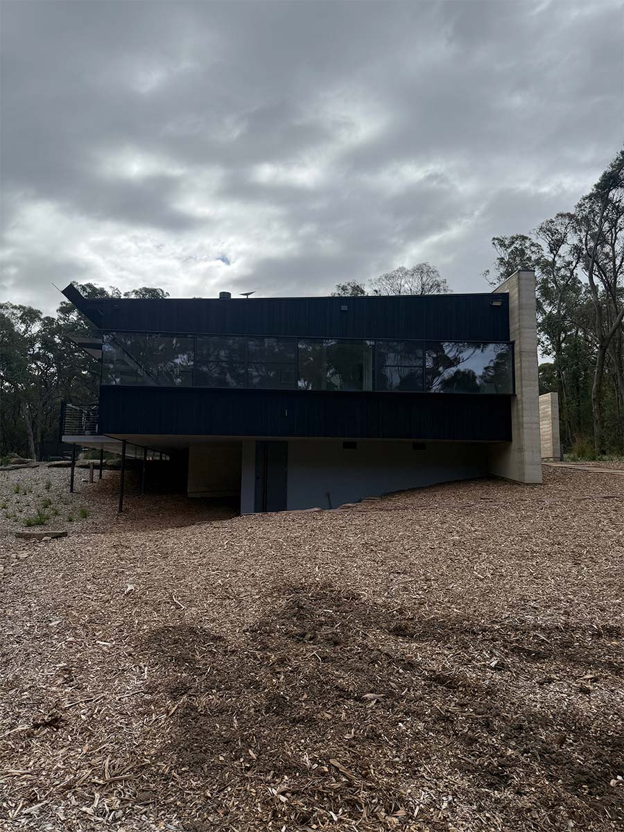 Charred Blackbutt