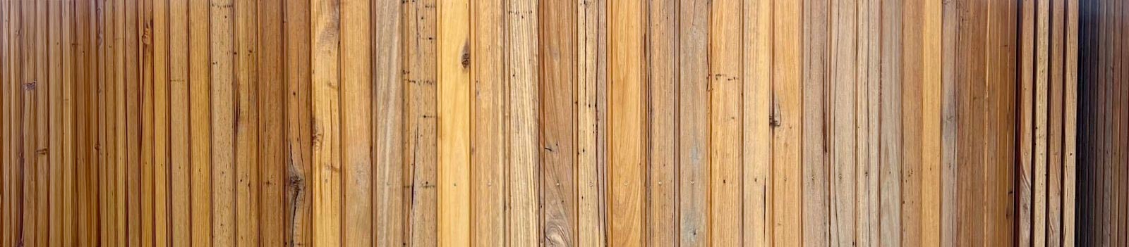Silvertop Ash
